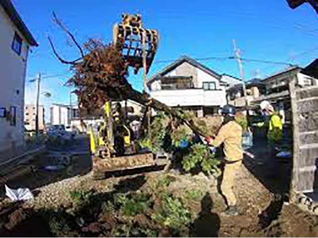 大木切りサービス 特殊伐採 伐根 除根作業 福岡市